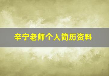 辛宁老师个人简历资料