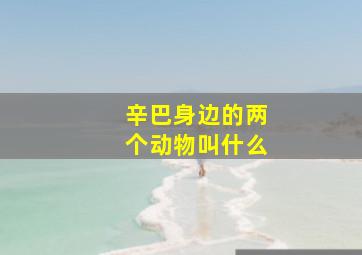 辛巴身边的两个动物叫什么