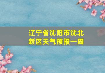 辽宁省沈阳市沈北新区天气预报一周