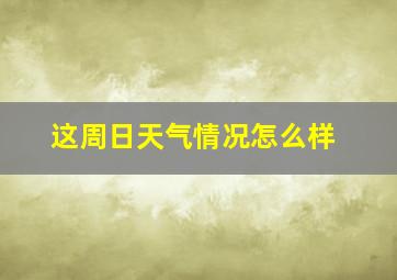 这周日天气情况怎么样