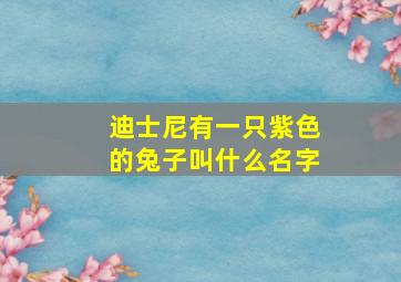 迪士尼有一只紫色的兔子叫什么名字