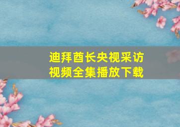 迪拜酋长央视采访视频全集播放下载