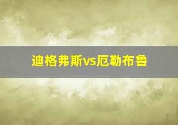 迪格弗斯vs厄勒布鲁