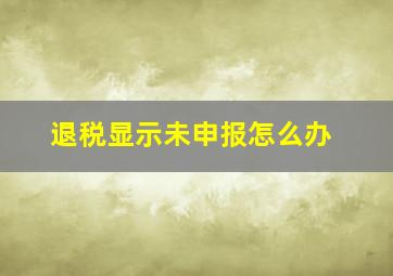 退税显示未申报怎么办