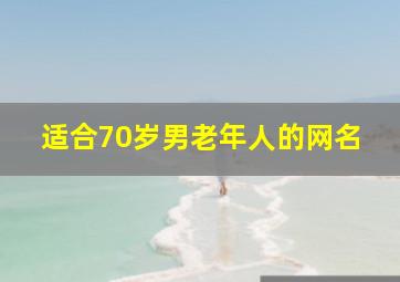 适合70岁男老年人的网名