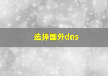 选择国外dns