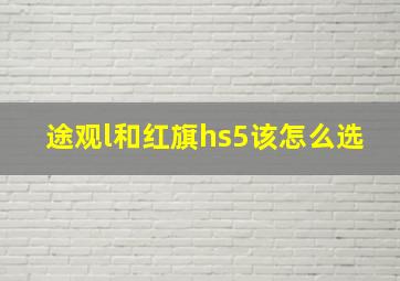 途观l和红旗hs5该怎么选