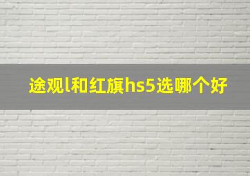 途观l和红旗hs5选哪个好