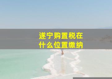 遂宁购置税在什么位置缴纳