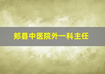 郏县中医院外一科主任