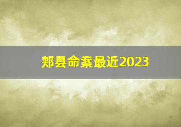 郏县命案最近2023