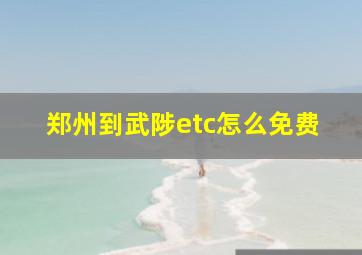 郑州到武陟etc怎么免费