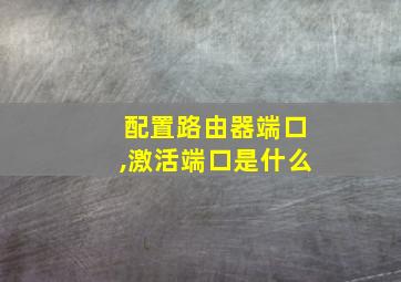 配置路由器端口,激活端口是什么