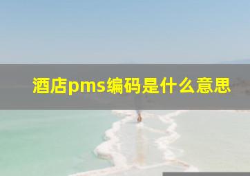 酒店pms编码是什么意思