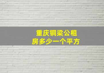 重庆铜梁公租房多少一个平方