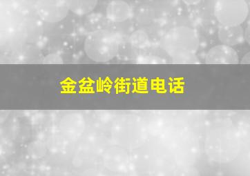 金盆岭街道电话