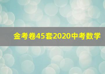 金考卷45套2020中考数学