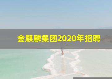 金麒麟集团2020年招聘