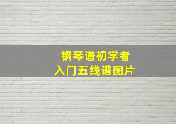 钢琴谱初学者入门五线谱图片