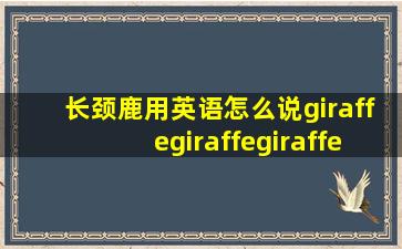 长颈鹿用英语怎么说giraffegiraffegiraffe