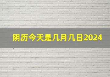 阴历今天是几月几日2024