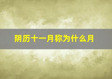 阴历十一月称为什么月