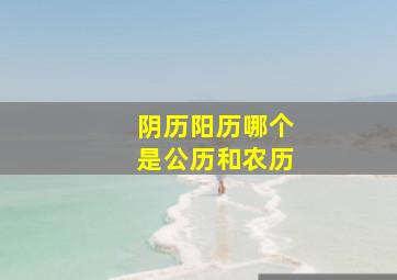 阴历阳历哪个是公历和农历