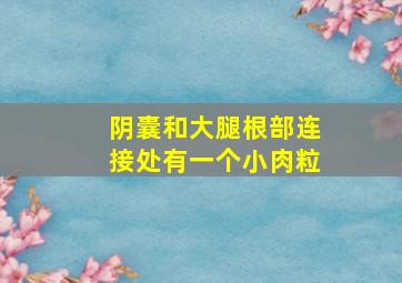 阴囊和大腿根部连接处有一个小肉粒