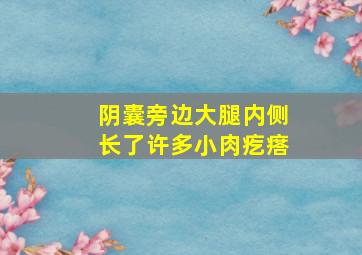 阴囊旁边大腿内侧长了许多小肉疙瘩