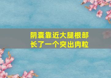 阴囊靠近大腿根部长了一个突出肉粒