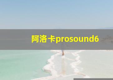 阿洛卡prosound6