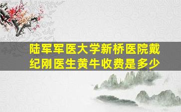 陆军军医大学新桥医院戴纪刚医生黄牛收费是多少