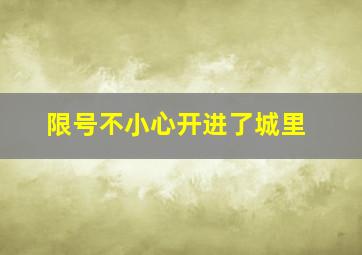 限号不小心开进了城里