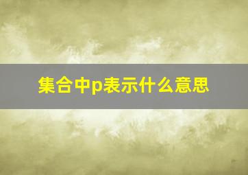 集合中p表示什么意思