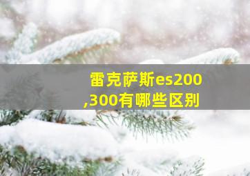 雷克萨斯es200,300有哪些区别