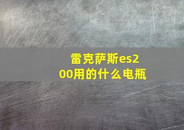 雷克萨斯es200用的什么电瓶