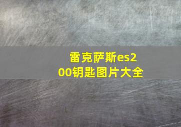 雷克萨斯es200钥匙图片大全