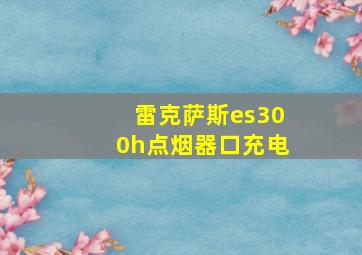 雷克萨斯es300h点烟器口充电