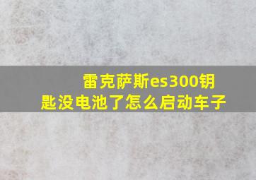 雷克萨斯es300钥匙没电池了怎么启动车子