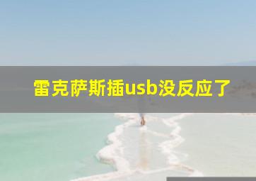 雷克萨斯插usb没反应了