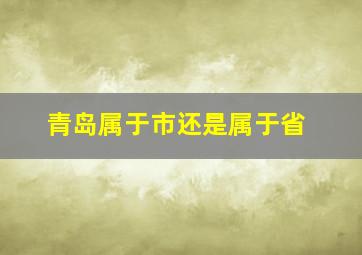 青岛属于市还是属于省