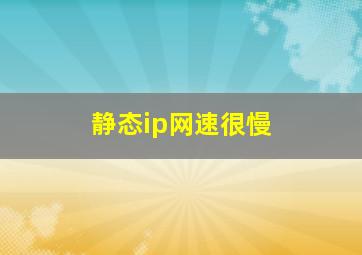 静态ip网速很慢