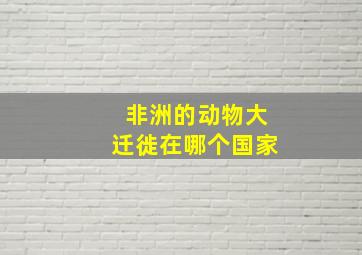 非洲的动物大迁徙在哪个国家