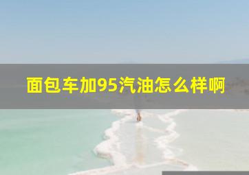 面包车加95汽油怎么样啊