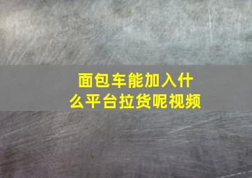 面包车能加入什么平台拉货呢视频