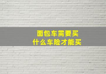 面包车需要买什么车险才能买