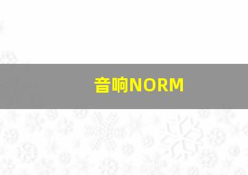 音响NORM