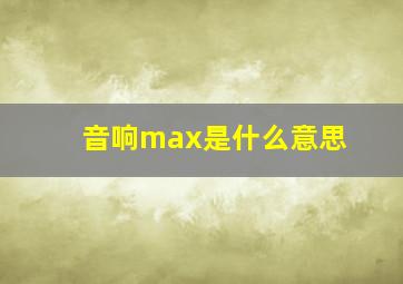 音响max是什么意思