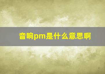 音响pm是什么意思啊