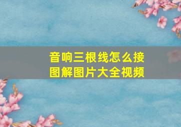 音响三根线怎么接图解图片大全视频